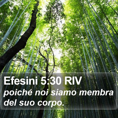 Efesini 5:30 RIV Bible Verse Image