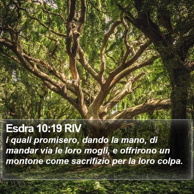 Esdra 10:19 RIV Bible Verse Image