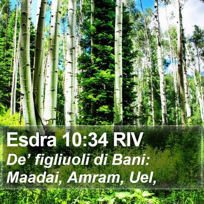Esdra 10:34 RIV Bible Verse Image