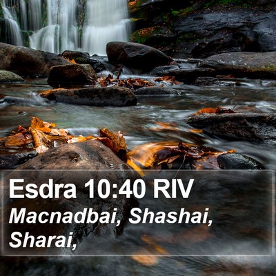 Esdra 10:40 RIV Bible Verse Image