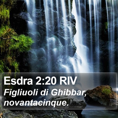 Esdra 2:20 RIV Bible Verse Image