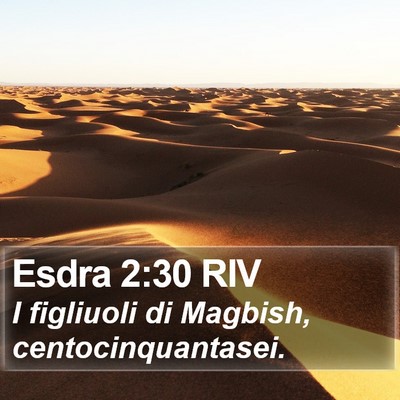 Esdra 2:30 RIV Bible Verse Image