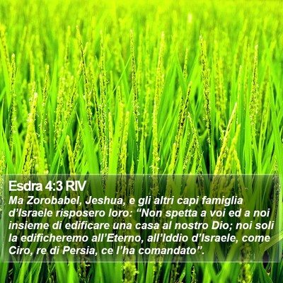 Esdra 4:3 RIV Bible Verse Image