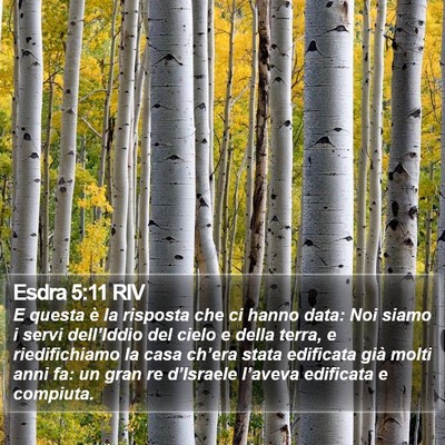 Esdra 5:11 RIV Bible Verse Image