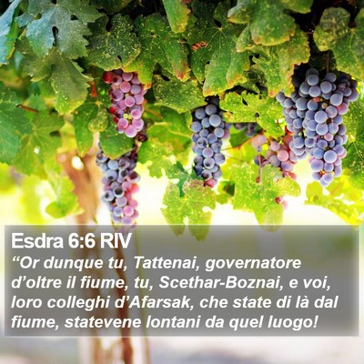 Esdra 6:6 RIV Bible Verse Image