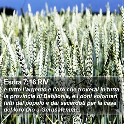 Esdra 7:16 RIV Bible Verse Image