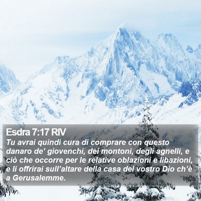 Esdra 7:17 RIV Bible Verse Image