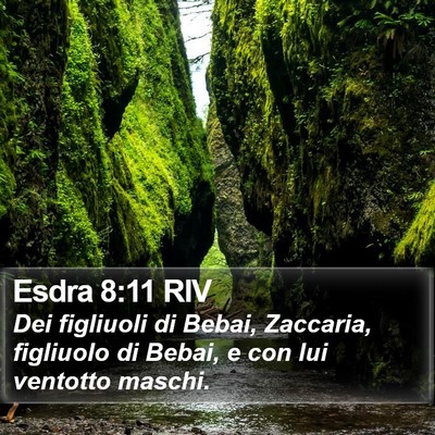 Esdra 8:11 RIV Bible Verse Image