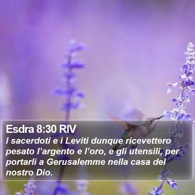 Esdra 8:30 RIV Bible Verse Image