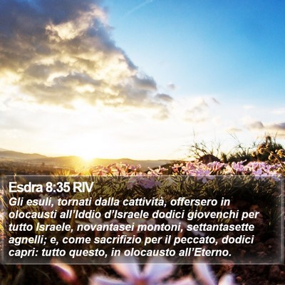 Esdra 8:35 RIV Bible Verse Image