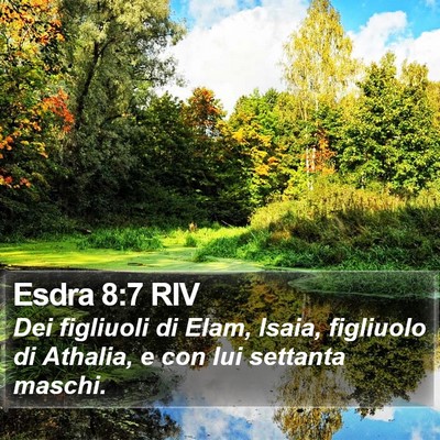 Esdra 8:7 RIV Bible Verse Image