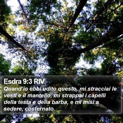 Esdra 9:3 RIV Bible Verse Image