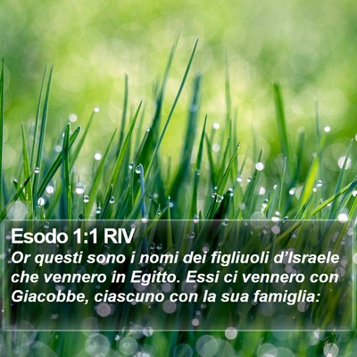 Esodo 1:1 RIV Bible Verse Image