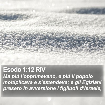 Esodo 1:12 RIV Bible Verse Image