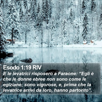 Esodo 1:19 RIV Bible Verse Image