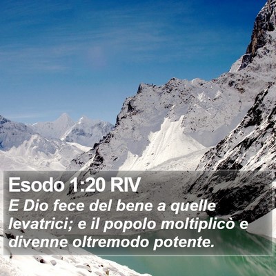 Esodo 1:20 RIV Bible Verse Image