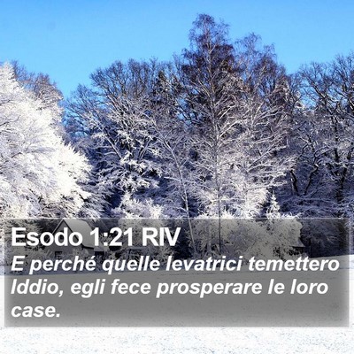 Esodo 1:21 RIV Bible Verse Image