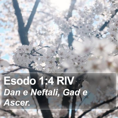 Esodo 1:4 RIV Bible Verse Image