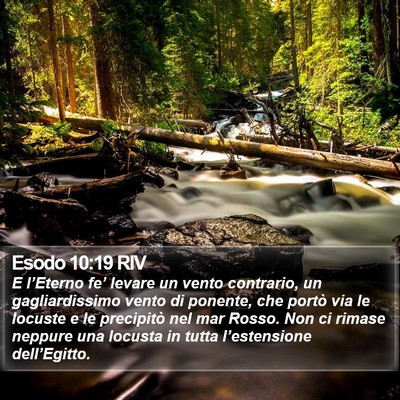 Esodo 10:19 RIV Bible Verse Image