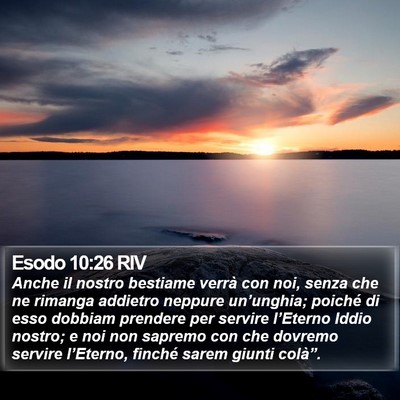 Esodo 10:26 RIV Bible Verse Image