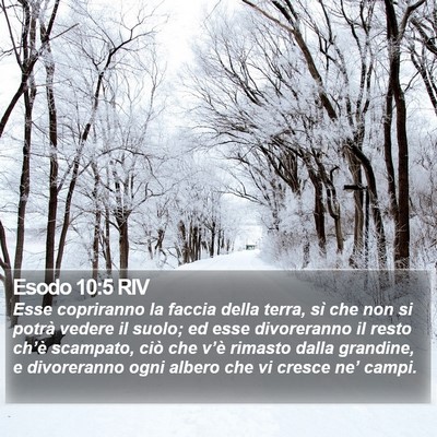 Esodo 10:5 RIV Bible Verse Image