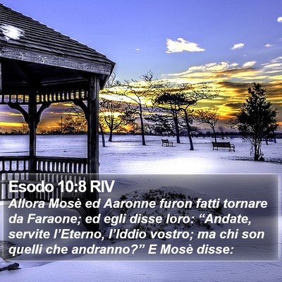 Esodo 10:8 RIV Bible Verse Image