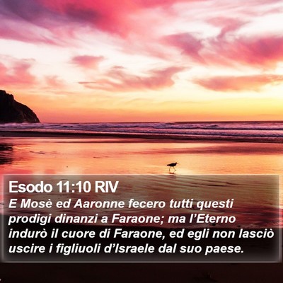 Esodo 11:10 RIV Bible Verse Image