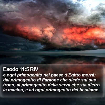 Esodo 11:5 RIV Bible Verse Image