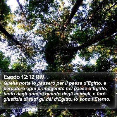 Esodo 12:12 RIV Bible Verse Image