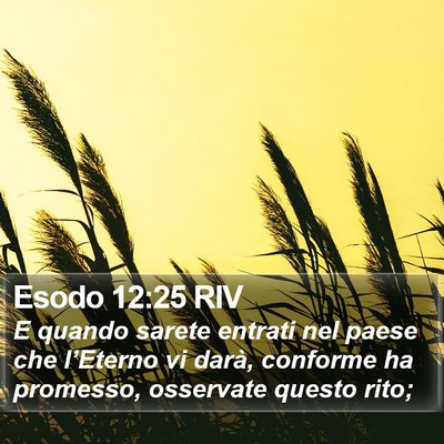 Esodo 12:25 RIV Bible Verse Image
