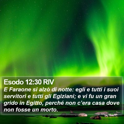 Esodo 12:30 RIV Bible Verse Image