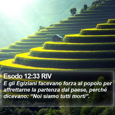 Esodo 12:33 RIV Bible Verse Image