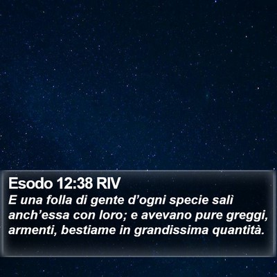 Esodo 12:38 RIV Bible Verse Image