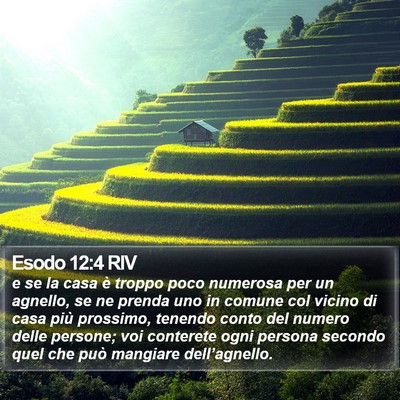 Esodo 12:4 RIV Bible Verse Image