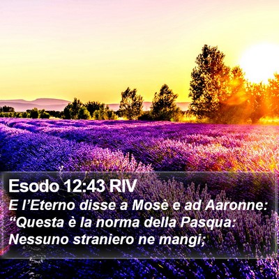 Esodo 12:43 RIV Bible Verse Image
