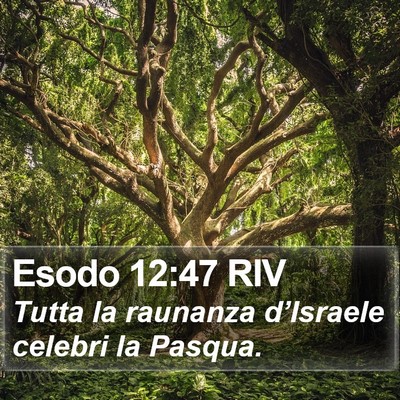 Esodo 12:47 RIV Bible Verse Image