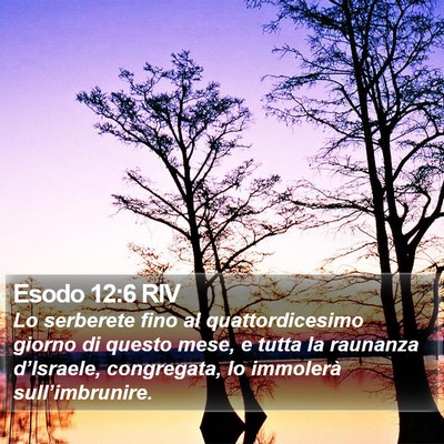 Esodo 12:6 RIV Bible Verse Image