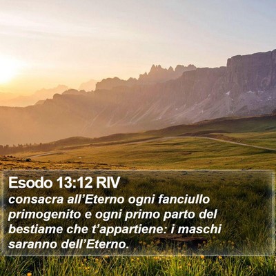 Esodo 13:12 RIV Bible Verse Image