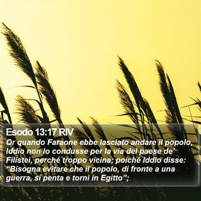 Esodo 13:17 RIV Bible Verse Image