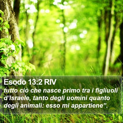 Esodo 13:2 RIV Bible Verse Image