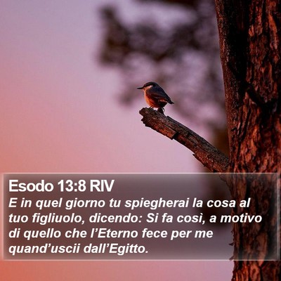 Esodo 13:8 RIV Bible Verse Image