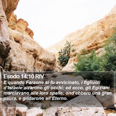 Esodo 14:10 RIV Bible Verse Image