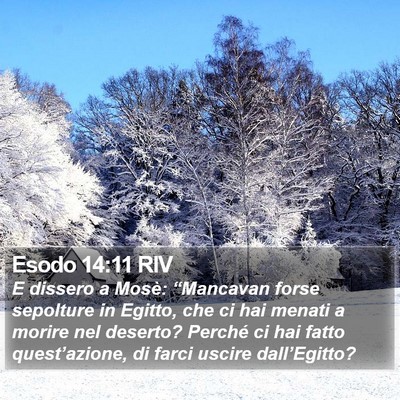 Esodo 14:11 RIV Bible Verse Image