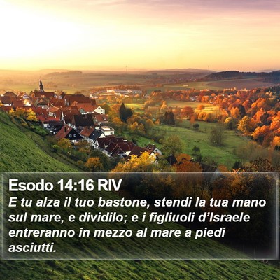 Esodo 14:16 RIV Bible Verse Image