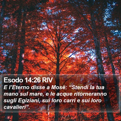 Esodo 14:26 RIV Bible Verse Image