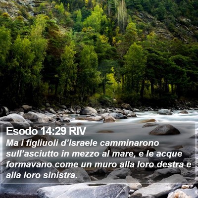 Esodo 14:29 RIV Bible Verse Image