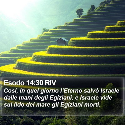 Esodo 14:30 RIV Bible Verse Image
