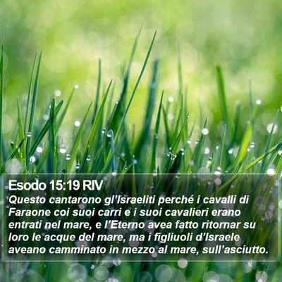 Esodo 15:19 RIV Bible Verse Image