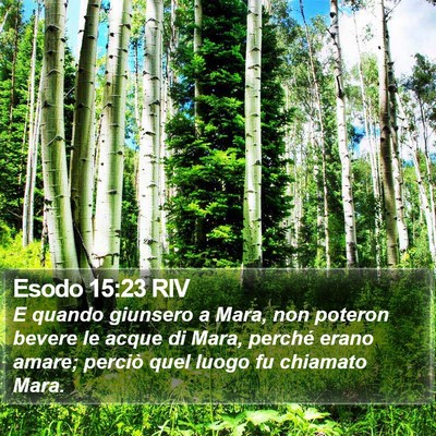 Esodo 15:23 RIV Bible Verse Image