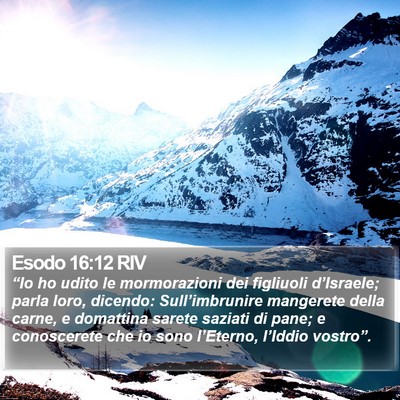 Esodo 16:12 RIV Bible Verse Image